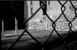 analog photography Photography