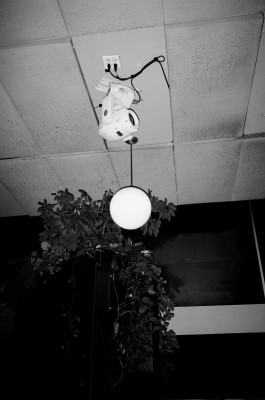 Photography
